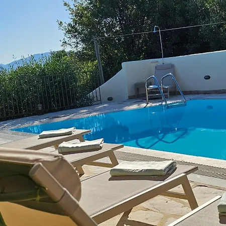 The Little Olive Press, *